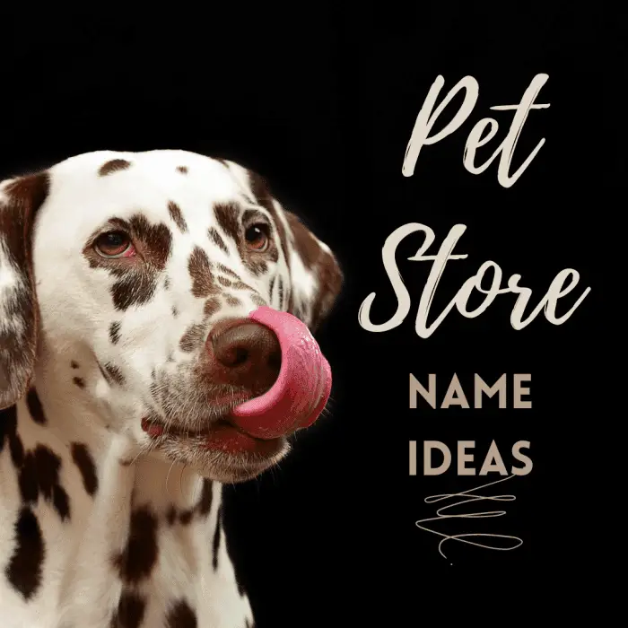 50 Pet Store Names